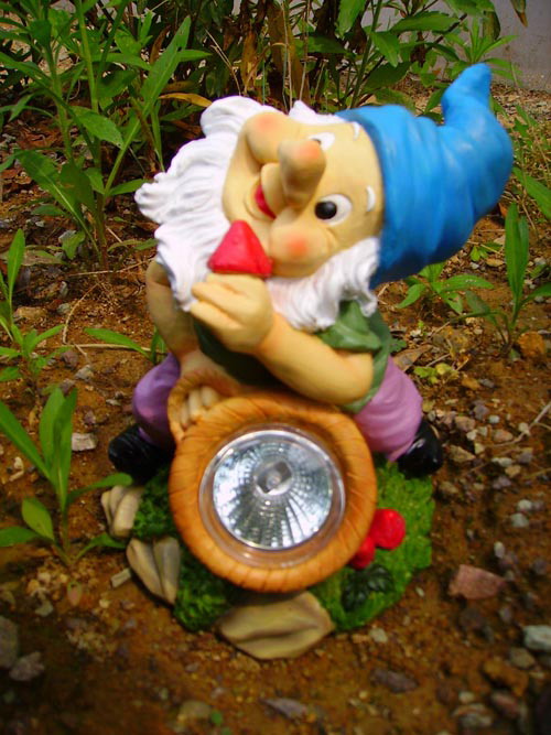 SC009 Solar Power Christmas Lighting