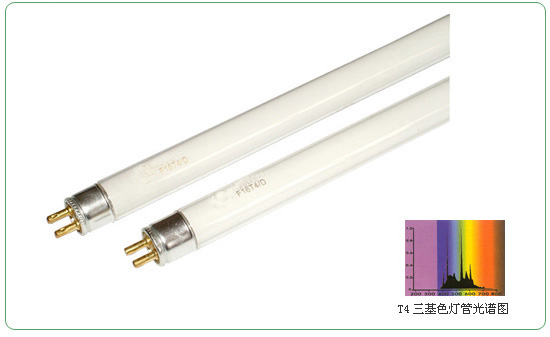 T4 Flourescent Lamps