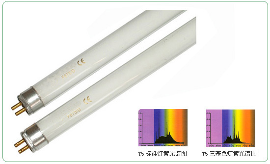 T5-A Flourescent Lamps