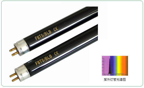 T5 Flourescent Lamps
