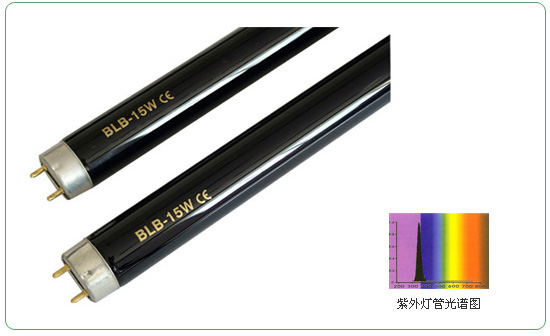 T8-B Flourescent Lamps