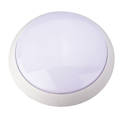 ER-CL0829 Ceiling Lamps