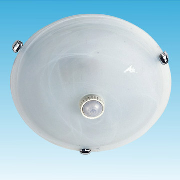 Sensor SN6