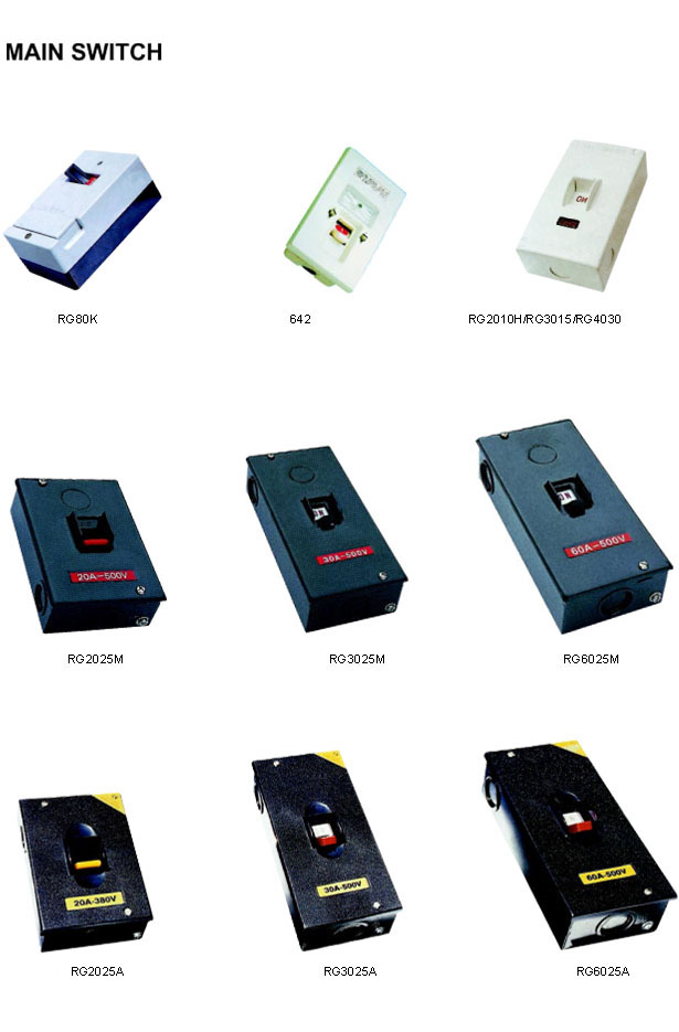 RG Main Switch